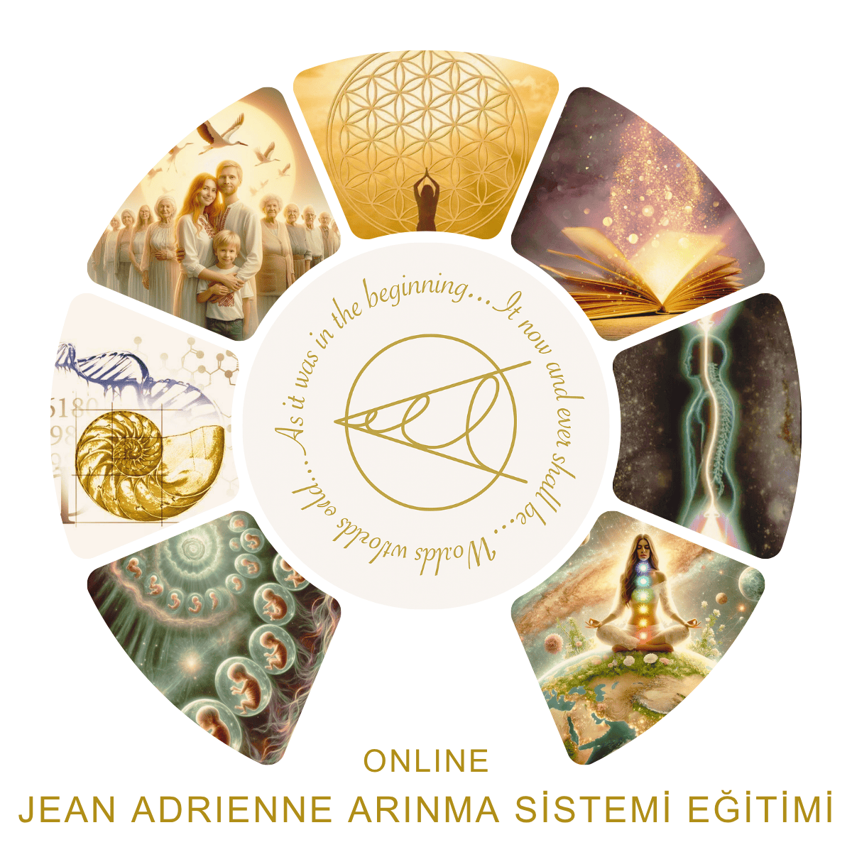 Jean  Adrienne  Arınma Sistemi Eğitimi (JAAS) - 1. Aşama Uygulayıcı Eğitimi