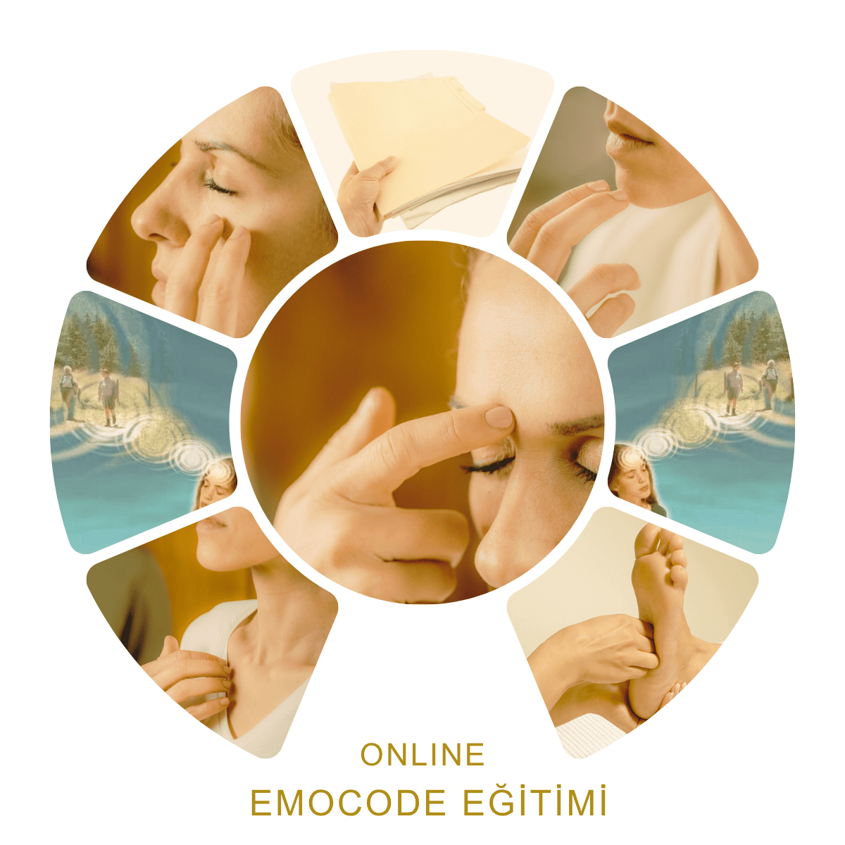 EmoCode Sistem Eğitimi – Duygularını Nötürle, Bilincini Yenile