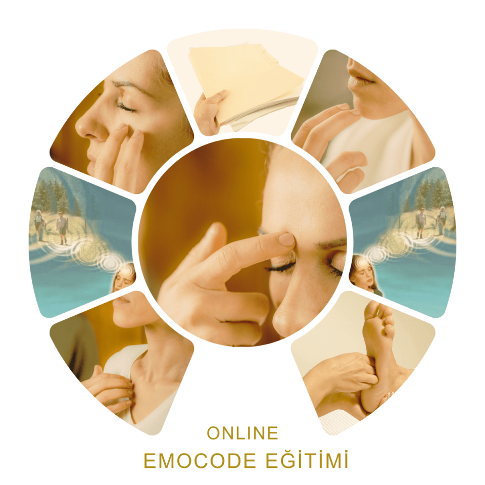 EmoCode Sistem Eğitimi – Duygularını Nötürle, Bilincini Yenile